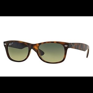 Polarized Matte Tortoise Rayban New Wayfarers